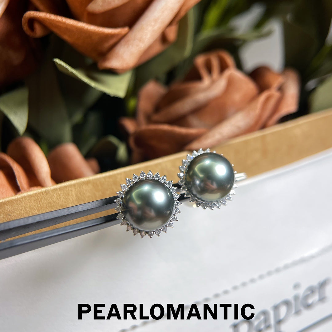 [Fine Jewelry] Tahitian Black Pearl 14k Gold Mirror-Like Earring Studs Platinum Grey