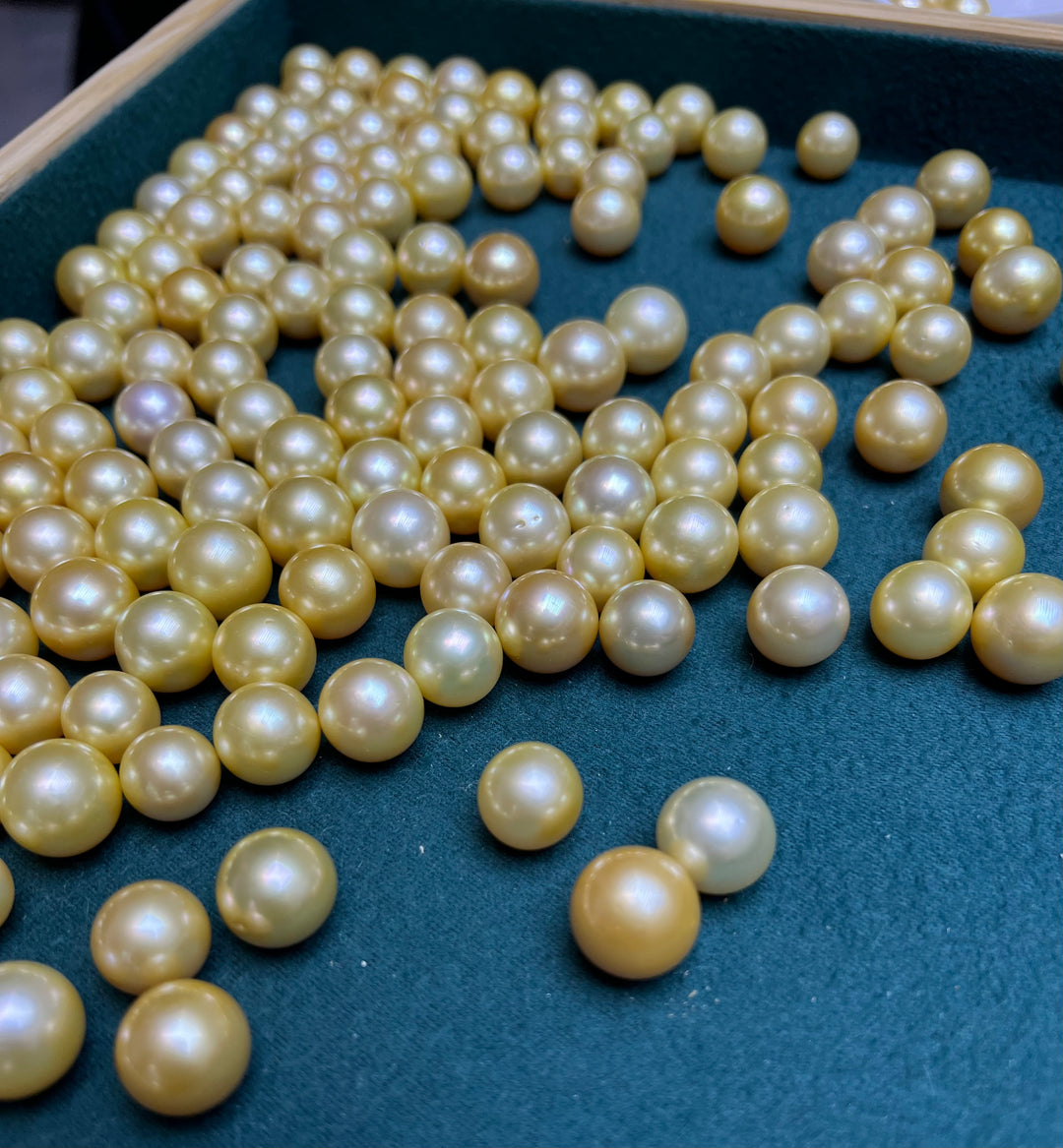 South Sea Pearls