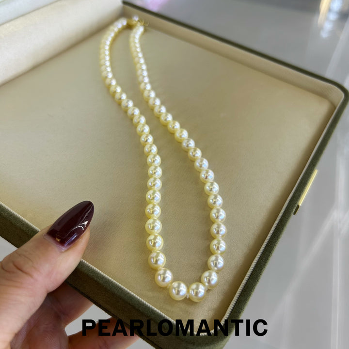 [Fine Jewelry] Akoya Pearl 6-7mm Golden Feather Classic Necklaces w/ S925 Silver