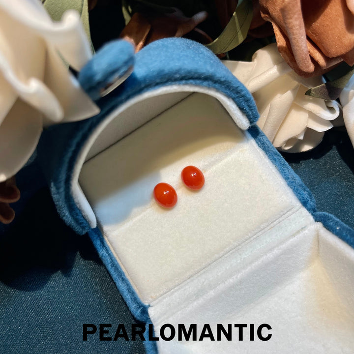 [Fine Jewelry] 18k Gold & Aka Coral 7.5*9mm Classic Essnetials Earring Studs