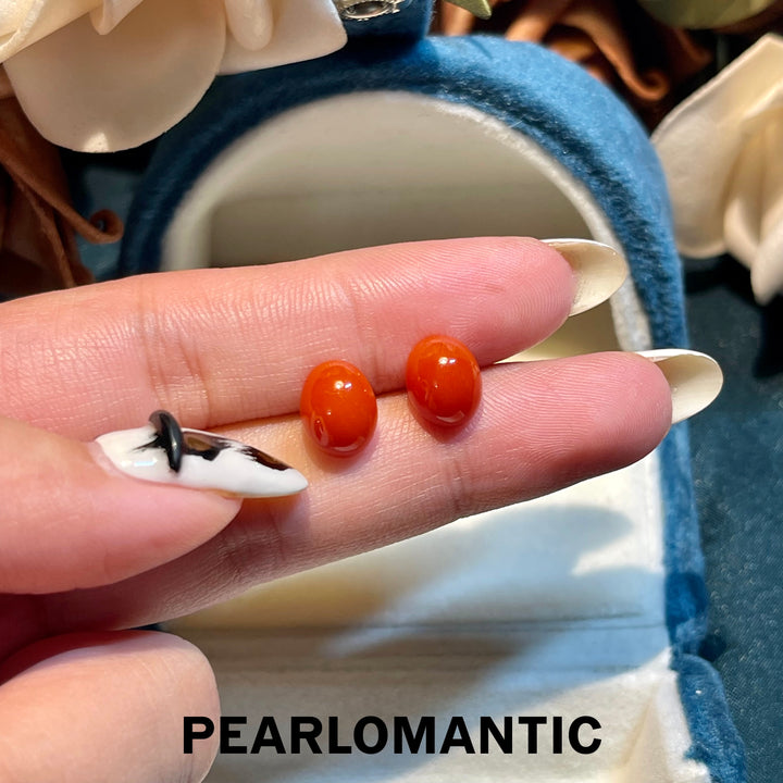 [Fine Jewelry] 18k Gold & Aka Coral 7.5*9mm Classic Essnetials Earring Studs