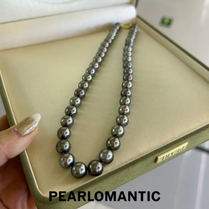 [Fine Jewelry] Tahitian Black Pearl 9-10.5mm Classic Necklace Greenish Overtone