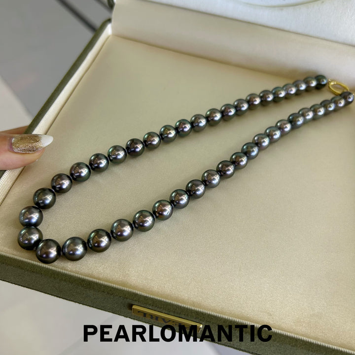 [Fine Jewelry] Tahitian Black Pearl 9-10.5mm Classic Necklace Greenish Overtone