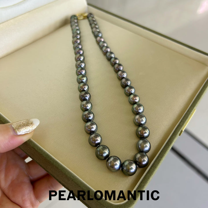 [Fine Jewelry] Tahitian Black Pearl 9-10.5mm Classic Necklace Greenish Overtone