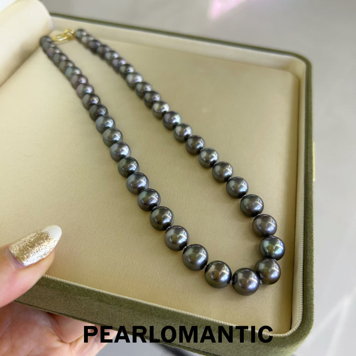 [Fine Jewelry] Tahitian Black Pearl 9-10mm Classic Necklace w/ S925 Clasp