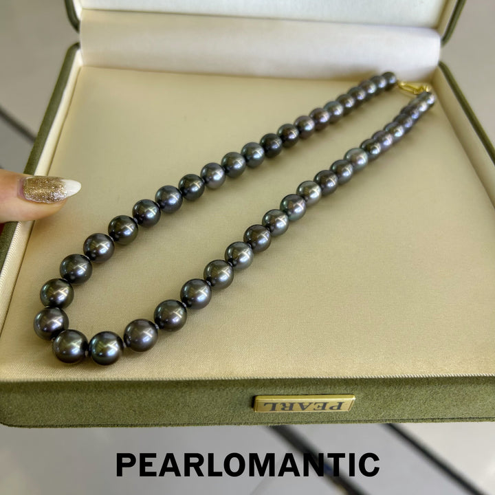 [Fine Jewelry] Tahitian Black Pearl 9-10mm Classic Necklace w/ S925 Clasp