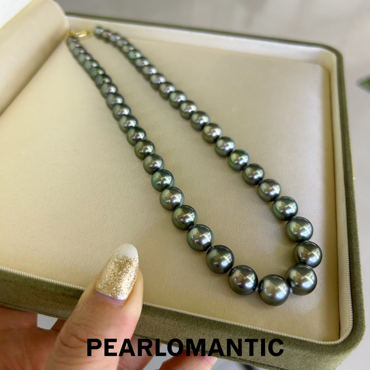 [Fine Jewelry] Tahitian Black Pearl 8-11mm Classic Necklace Peacock Green Overtone