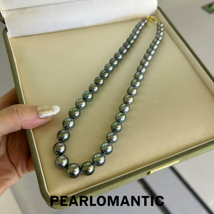 [Fine Jewelry] Tahitian Black Pearl 8-11mm Classic Necklace Peacock Green Overtone