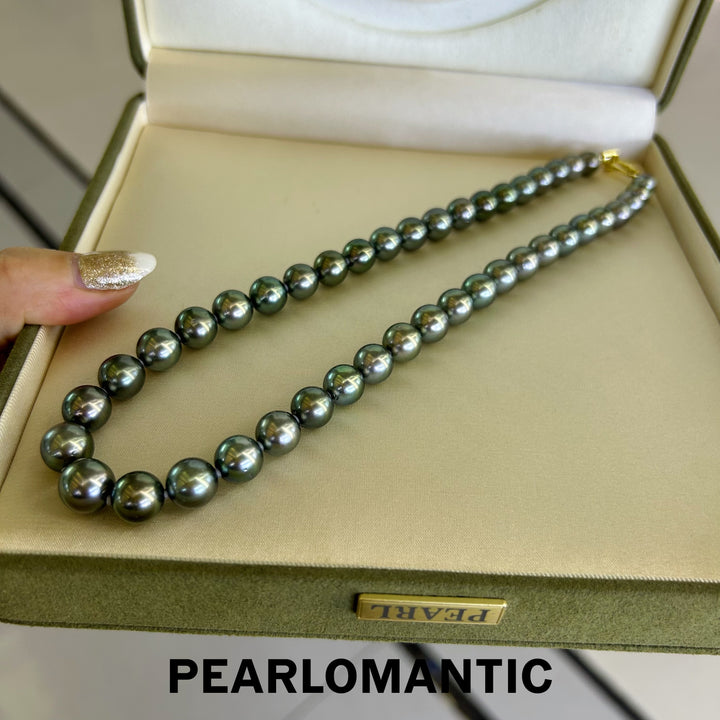[Fine Jewelry] Tahitian Black Pearl 8-11mm Classic Necklace Peacock Green Overtone
