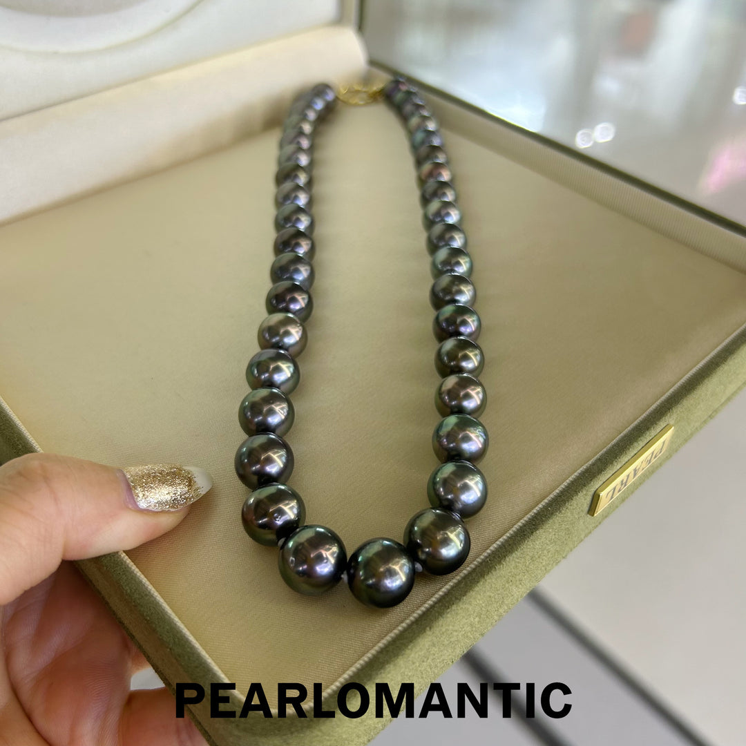 [Fine Jewelry] Tahitian Black Pearl 10.5-12.5mm Classic Necklace Greenish Overtone