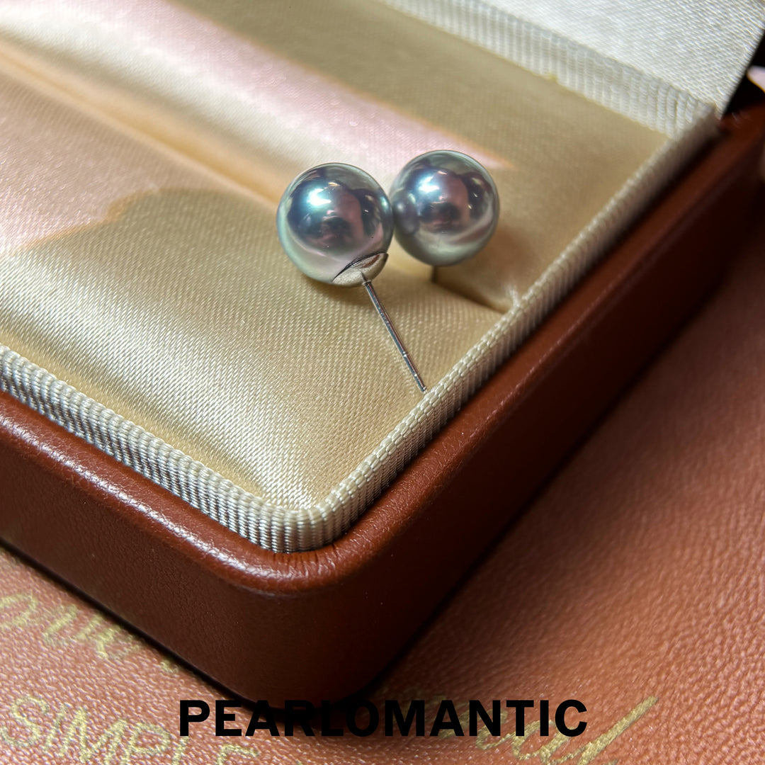 [Fine Jewelry] Mirror Glow Akoya Madama Color Pearl Stud PT900 Earrings 8–9mm