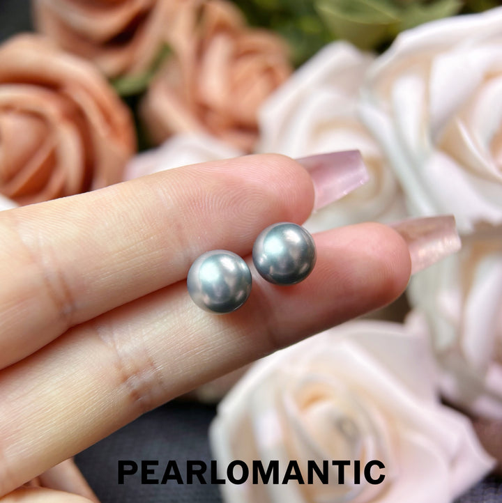 [Fine Jewelry] Tahitian Platinum Gray Pearl PT900 Stud Earrings