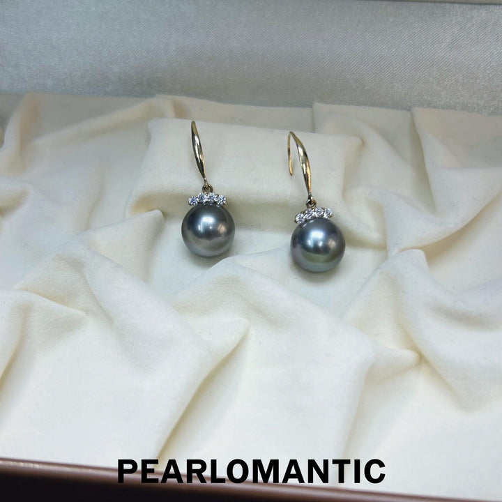 [Fine Jewlery] Tahitian Black Pearl 10-11mm Hook Earrings w/ 18k Gold