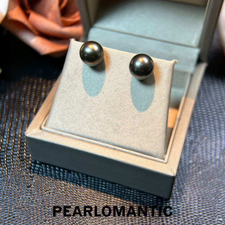 [Fine Jewelry] Tahitian Black Pearl Midnight Mirror Classic Earring Studs