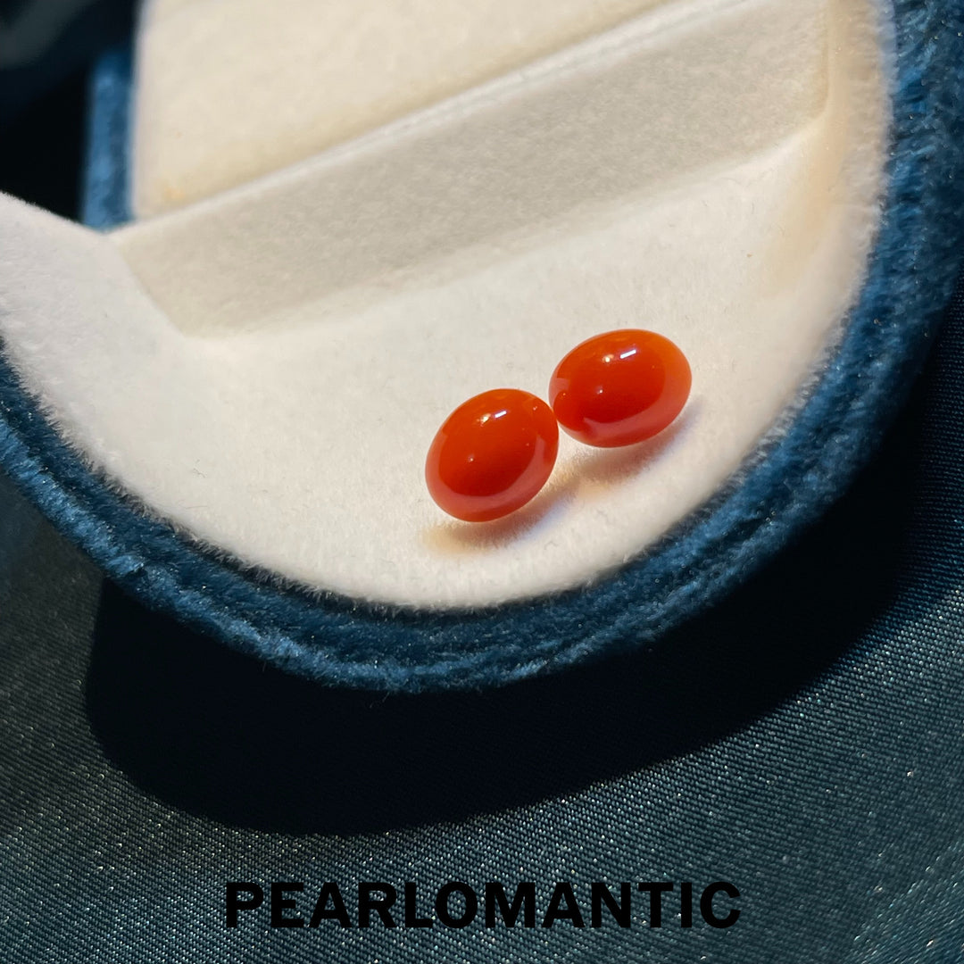 [Fine Jewelry] 18k Gold & Aka Coral 7.5*9mm Classic Essnetials Earring Studs