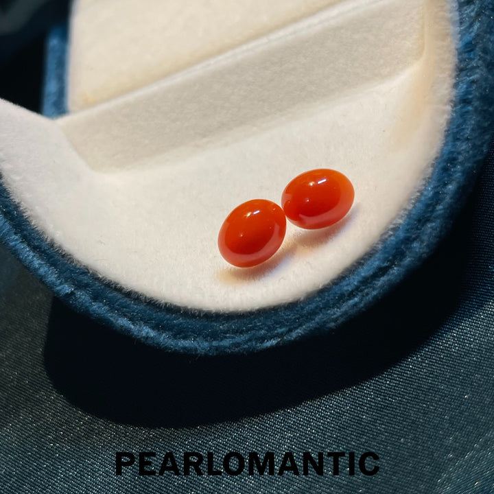 [Fine Jewelry] 18k Gold & Aka Coral 7.5*9mm Classic Essnetials Earring Studs