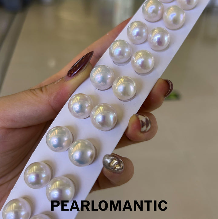 [Designer's Choice] Freshwater Pearl 12-13mm Excellent Luster Classic Essential Earring Studs