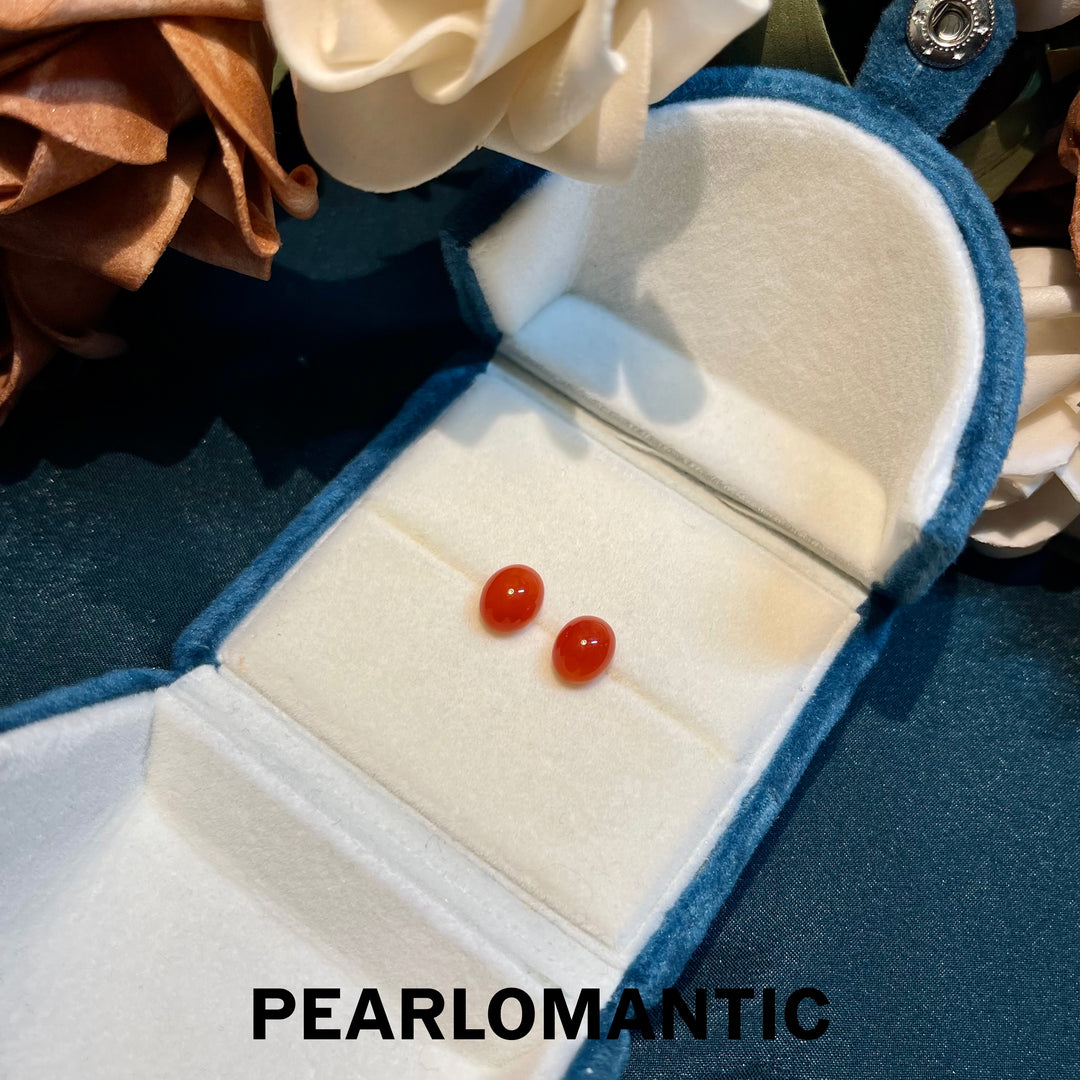 [Fine Jewelry] 18k Gold & Aka Coral 7.5*9mm Classic Essnetials Earring Studs