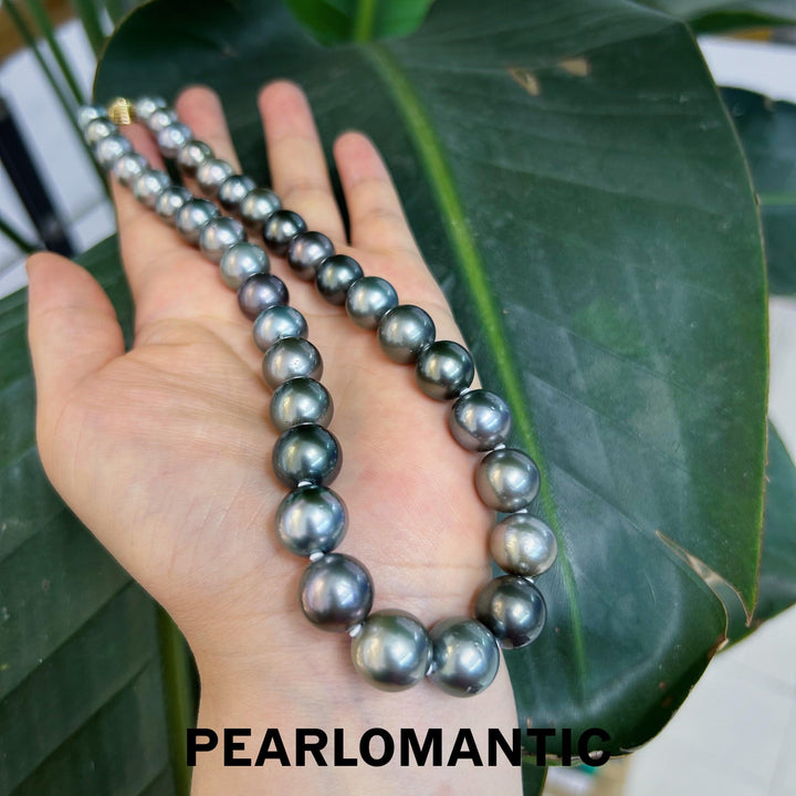 [Fine Jewelry] Tahitian Black 9-13mm Pearl 4A Excellent Luster w/ 18k Gold & Certificate