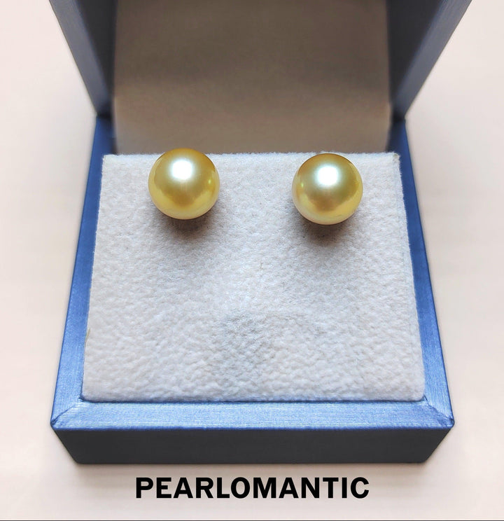【Fine Jewelry】18k South Sea Gloden Pearl 10-11mm Classic Earring Stud Certificate Included